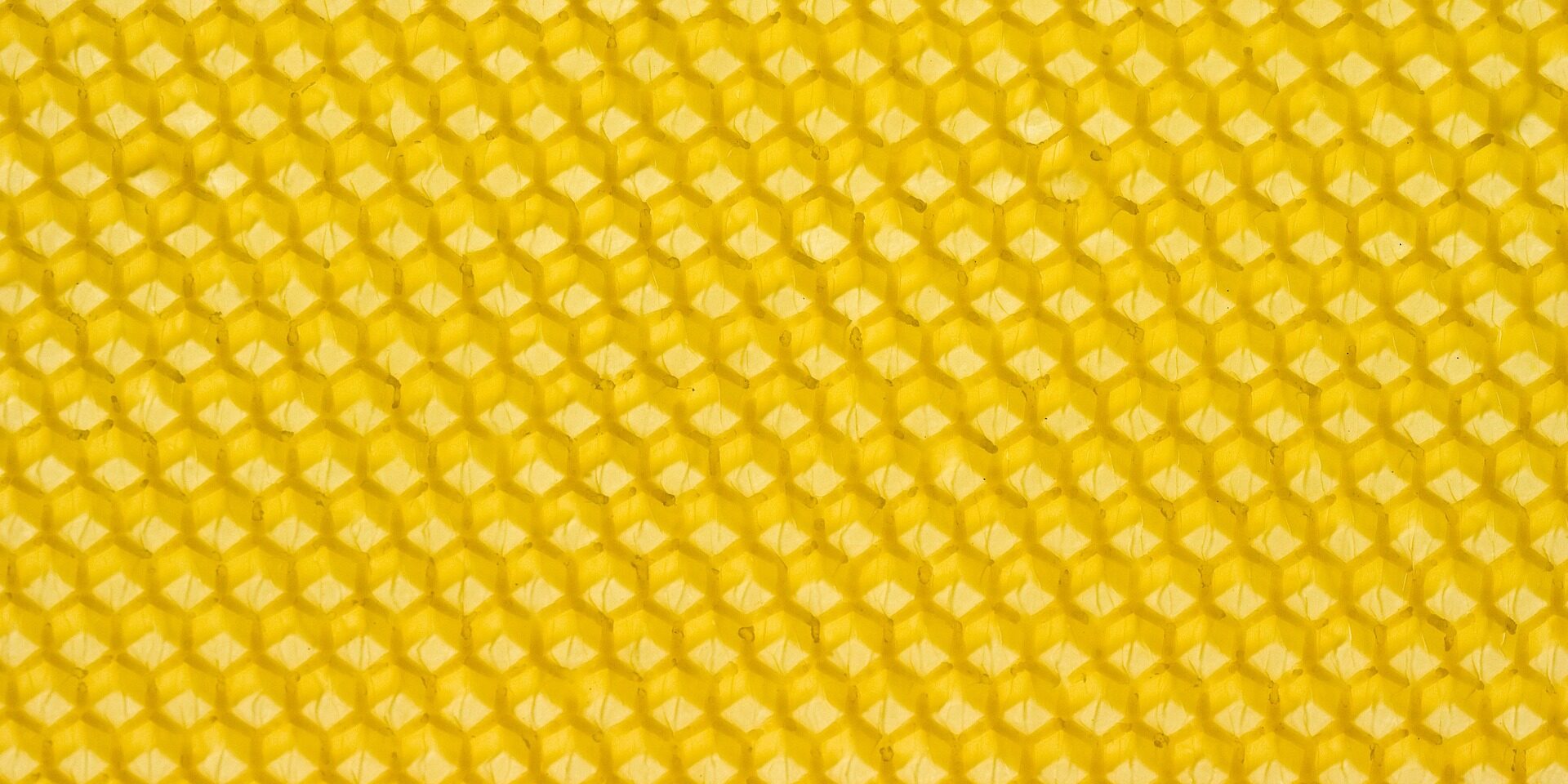 beeswax-gdb9231a38_1920